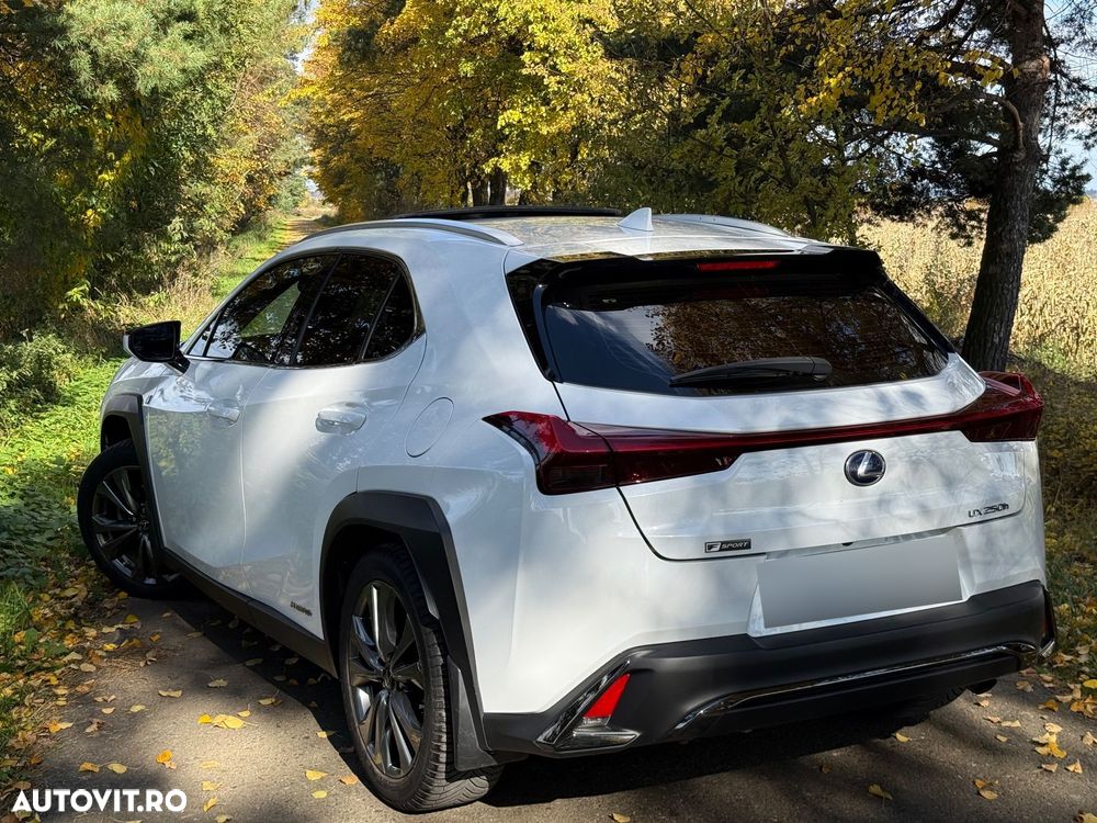 Lexus UX 250h (E-FOUR) F SPORT - 13