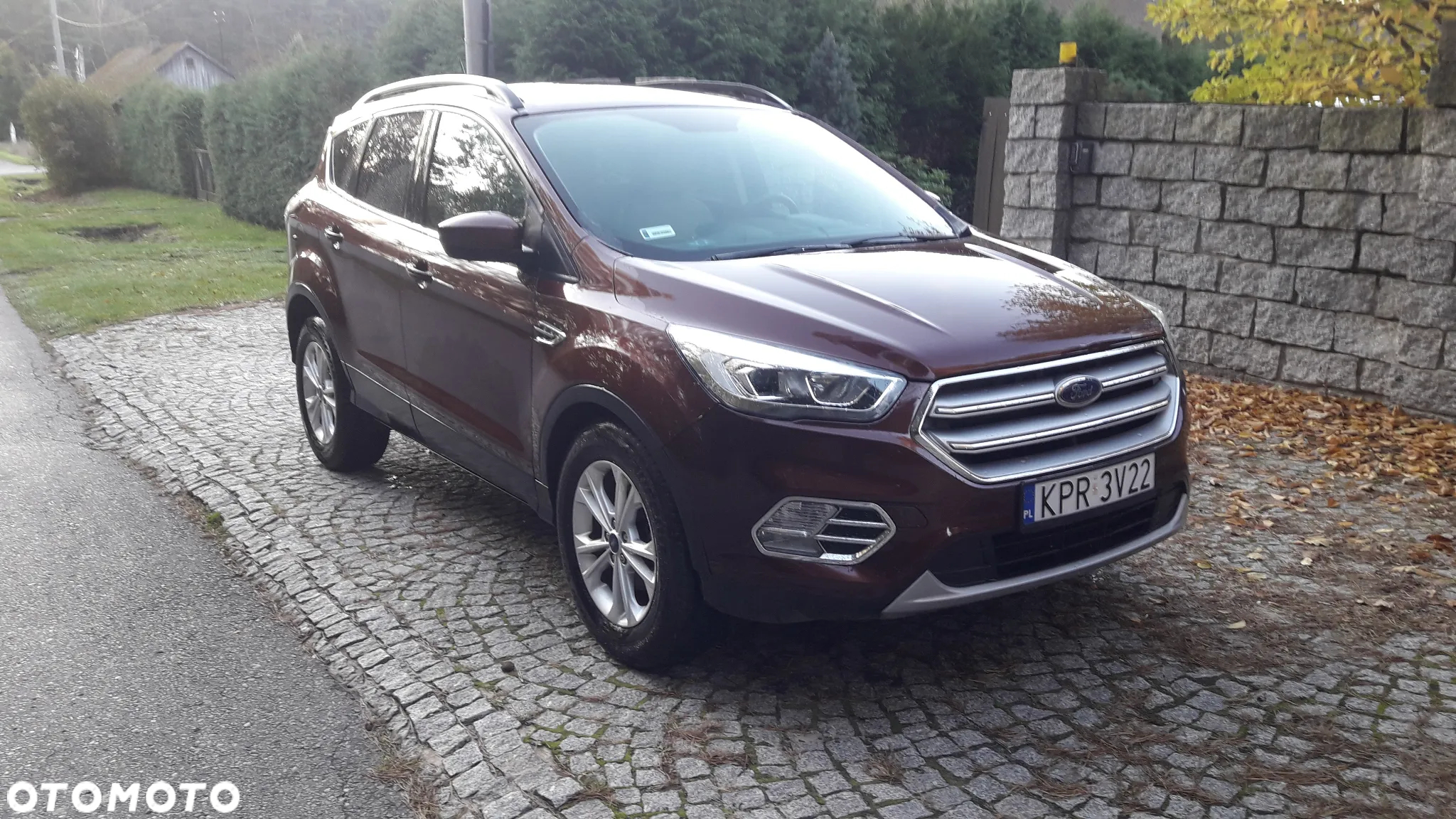 Ford Escape 1.5 EcoBoost AWD SE - 22