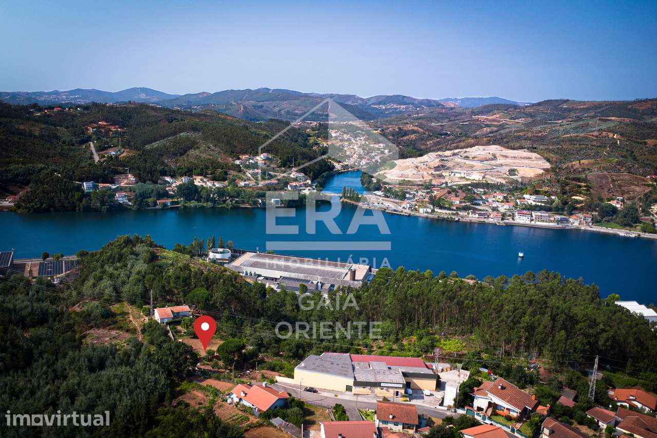 Terreno com vista para o Douro em Lever - Grande imagem: 3/6