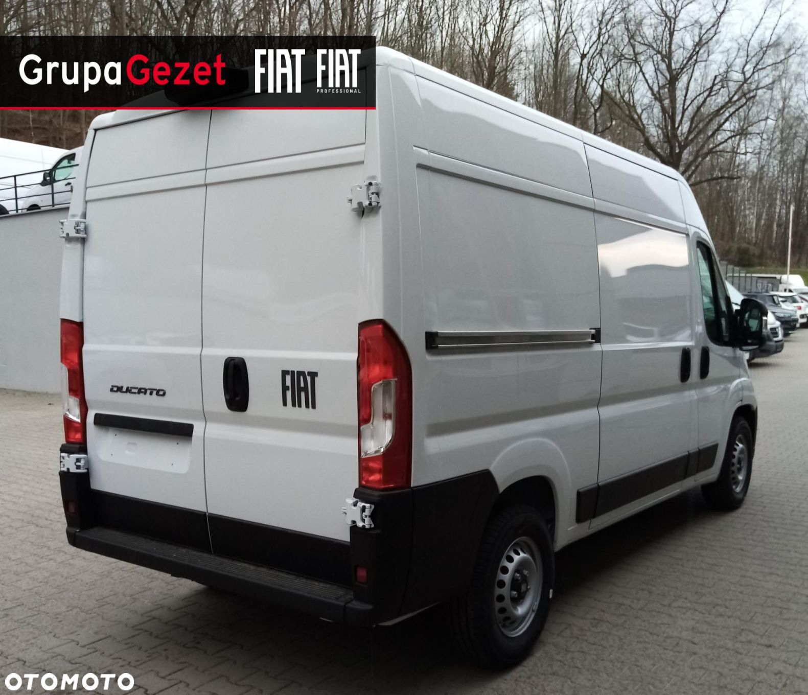 Fiat Ducato - 8