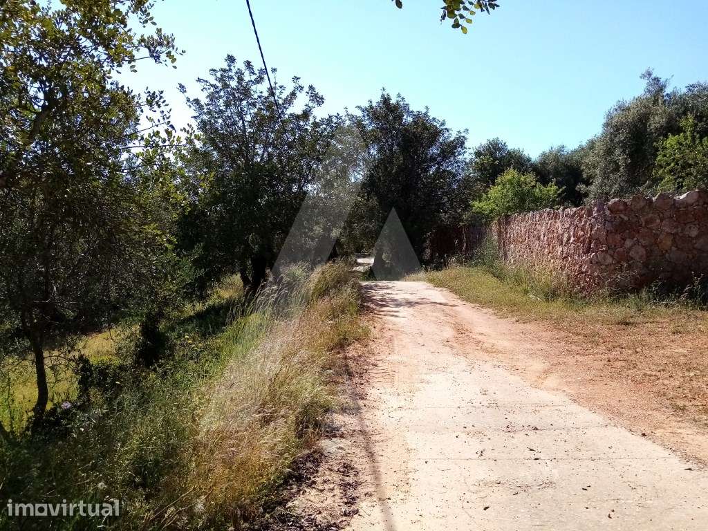 Terreno para venda, com viabilidade de construção em Querença, Loulé - Grande imagem: 4/7