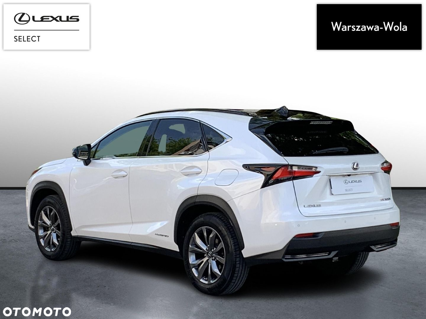 Lexus NX - 5