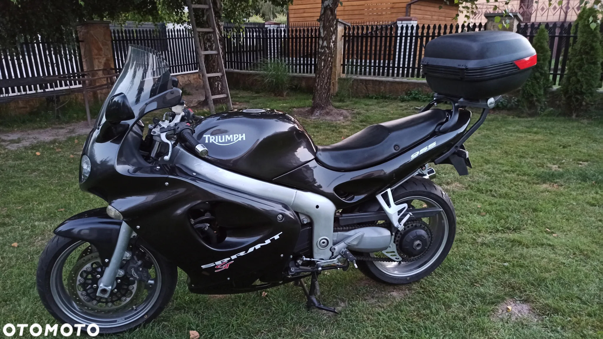 Triumph Sprint - 19