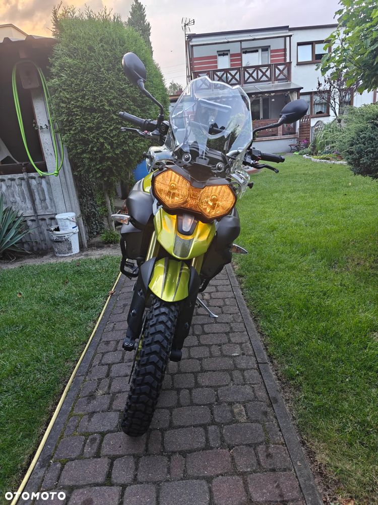 Triumph Tiger - 11