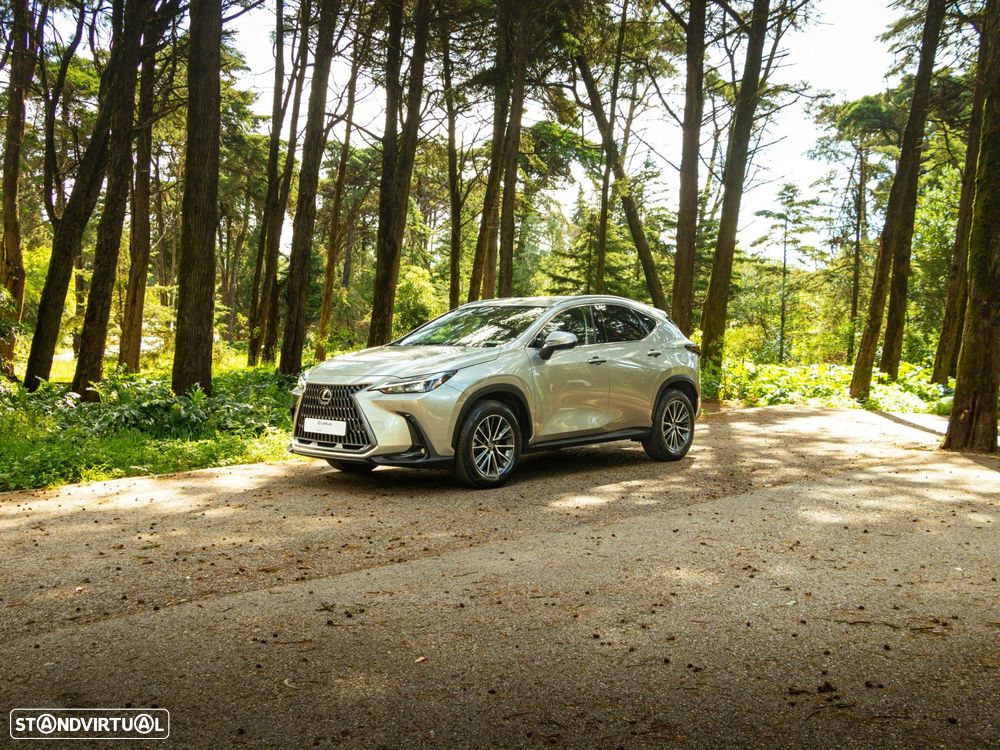 Lexus NX 350h Executive+ - 18