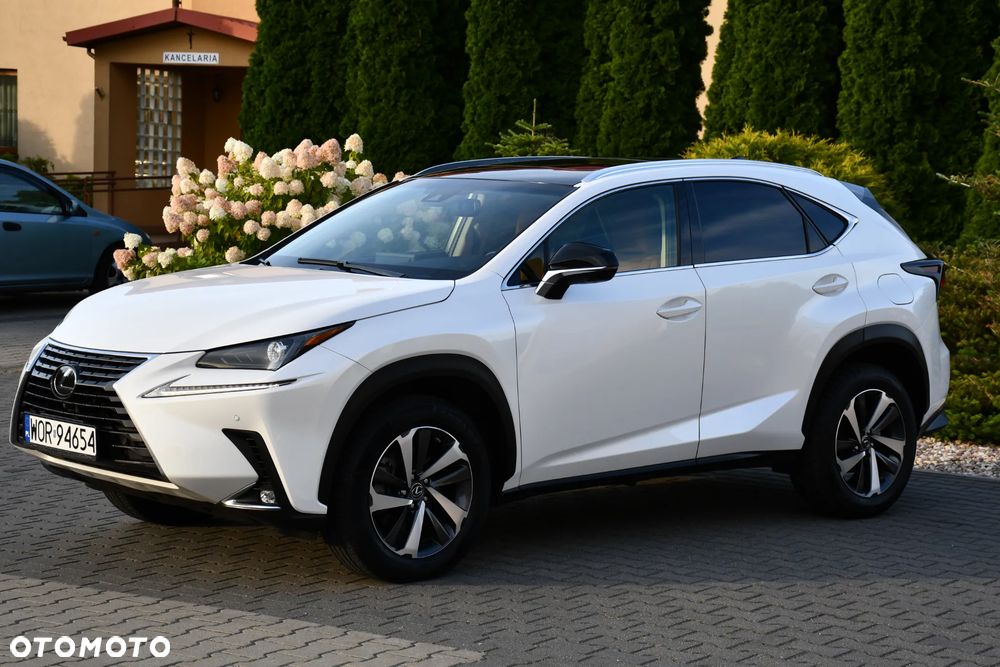 Lexus NX 300 AWD Executive Line - 4