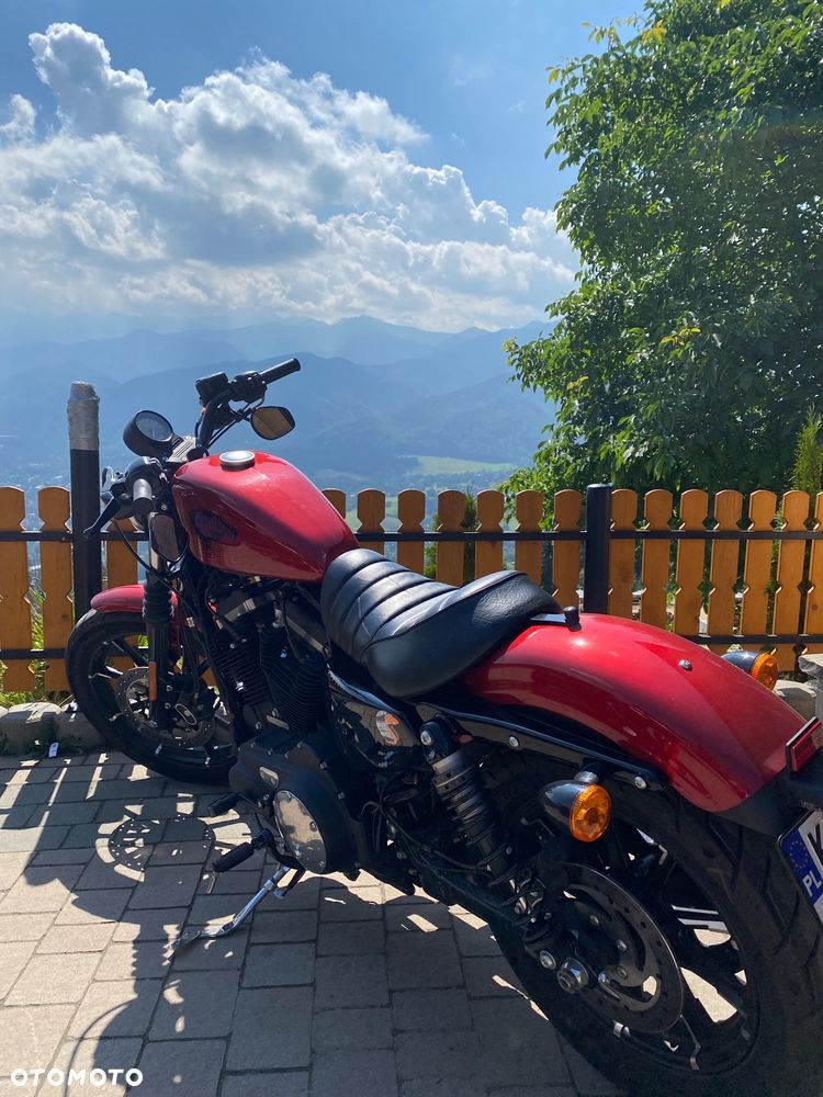 Harley-Davidson Sportster Iron 883 - 3