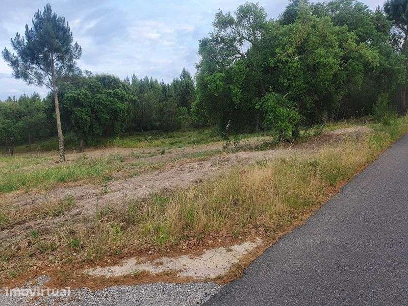 Terreno Rustico com viabilidade de construção - Grande imagem: 3/12