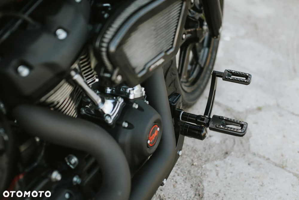 Harley-Davidson Softail Custom - 33