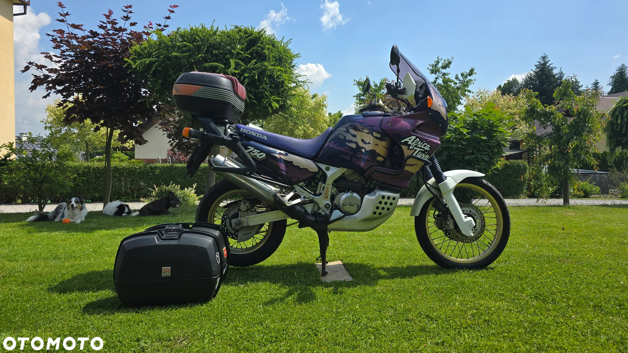 Honda XRV