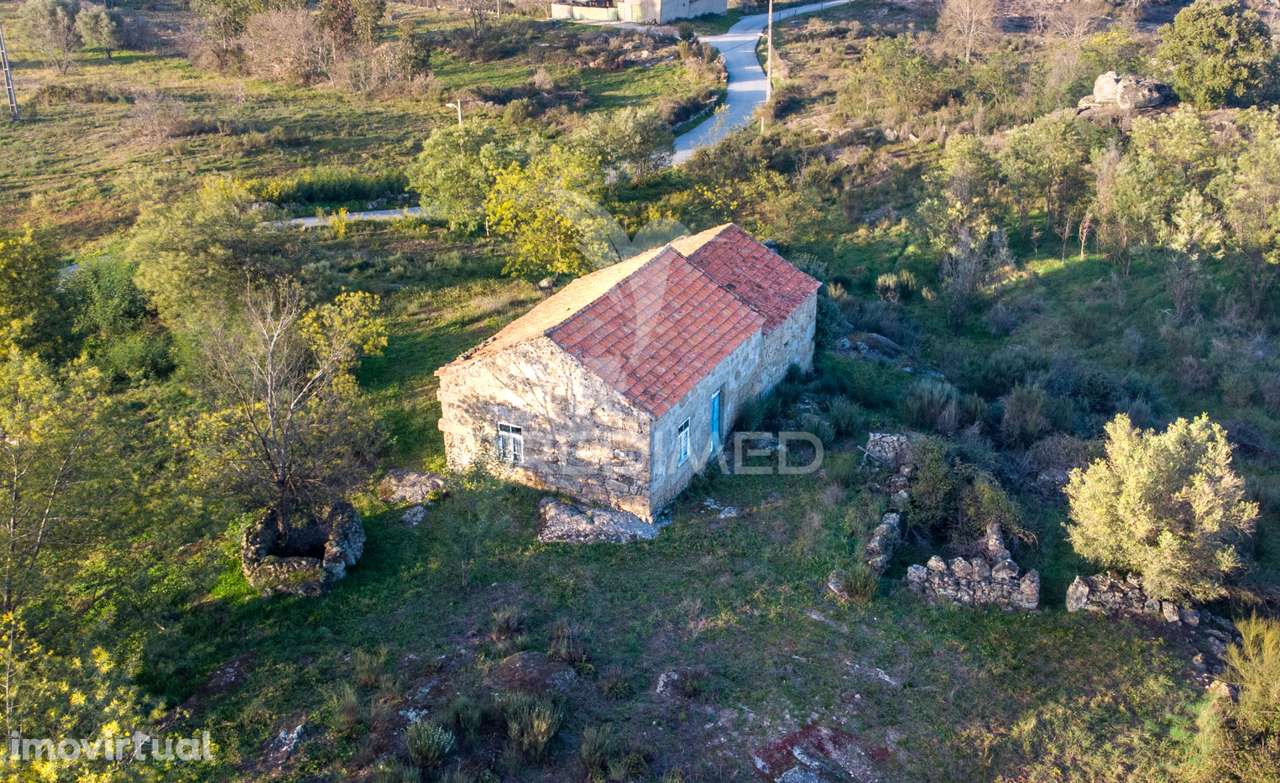 Quinta em Belmonte (Serra da Estrela) - Grande imagem: 4/13