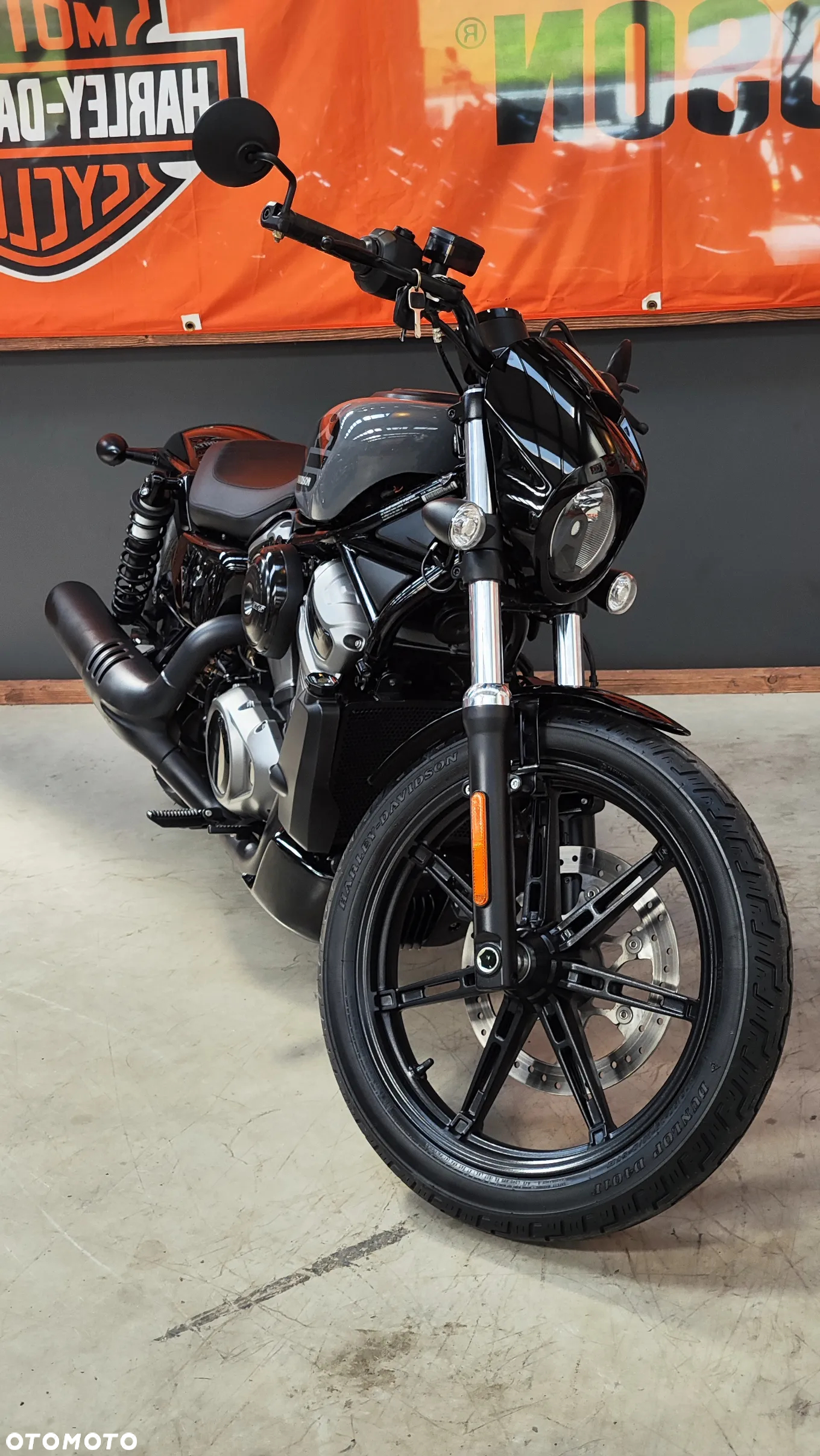 Harley-Davidson Sportster Nightster 975 - 9