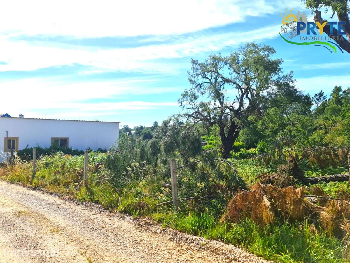 Quinta situada em Casalinho/Tapada - Grande imagem: 3/23