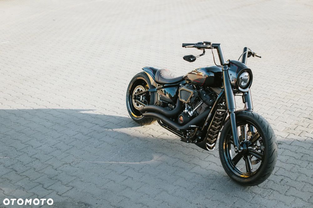 Harley-Davidson Softail Custom - 4