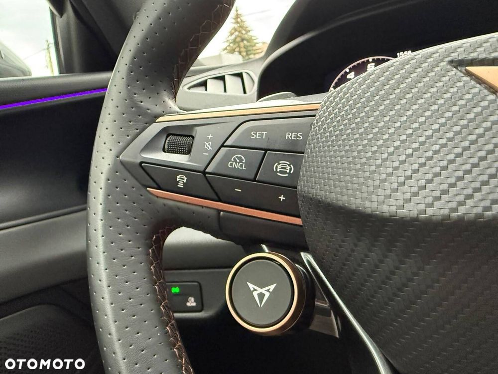 Cupra Terramar 1.5 eTSI mHEV DSG - 19