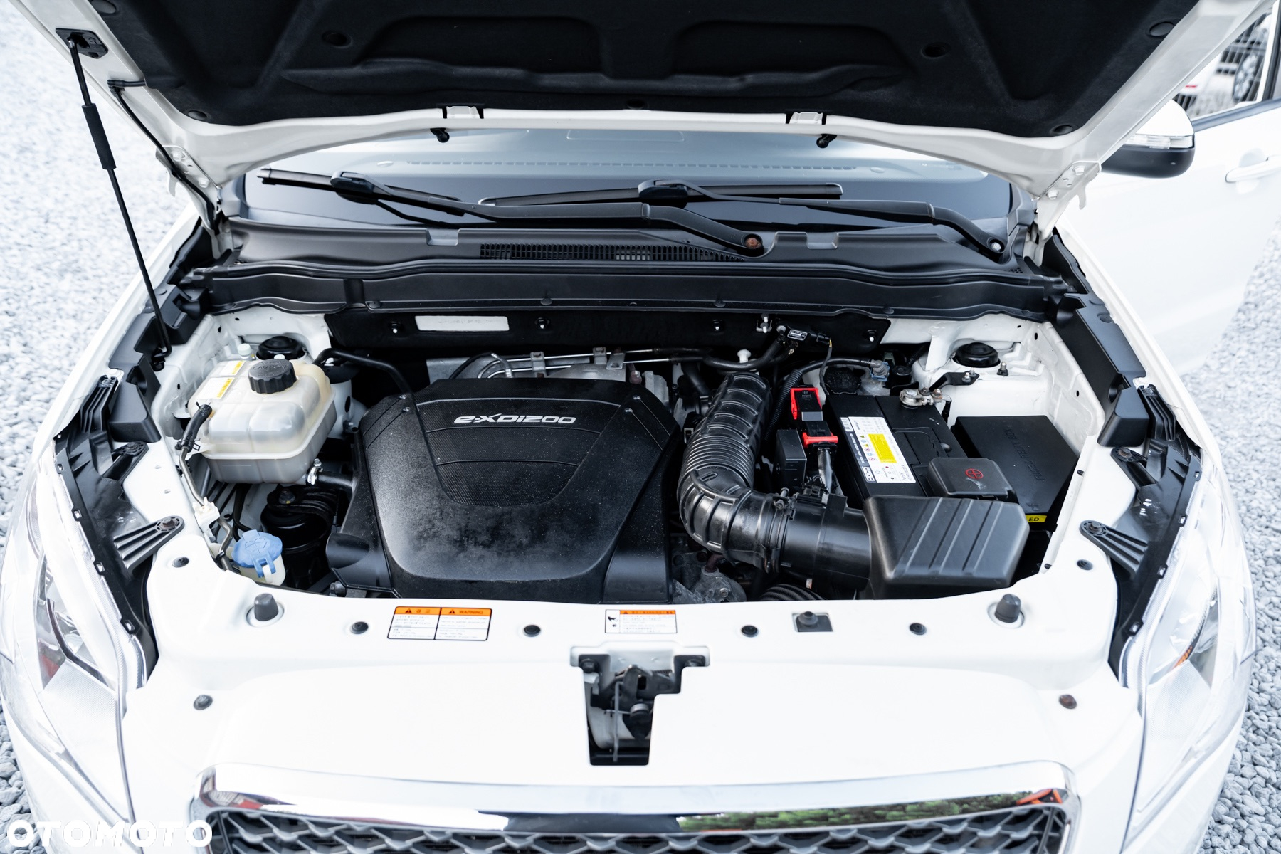 SsangYong/KGM Korando 2.0 D Sapphire - 40