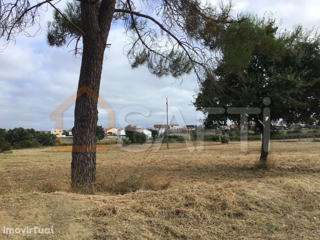 Terreno Rústico de 6.440m2 - Charneca do Peralva - Grande imagem: 5/5