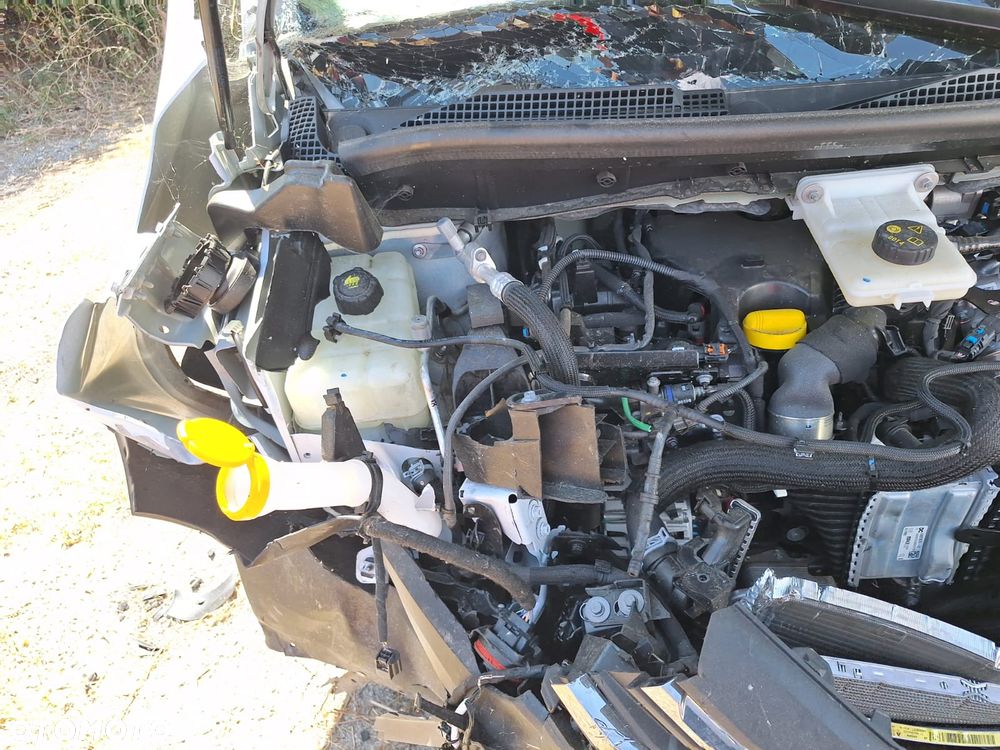 Renault Kangoo - 17