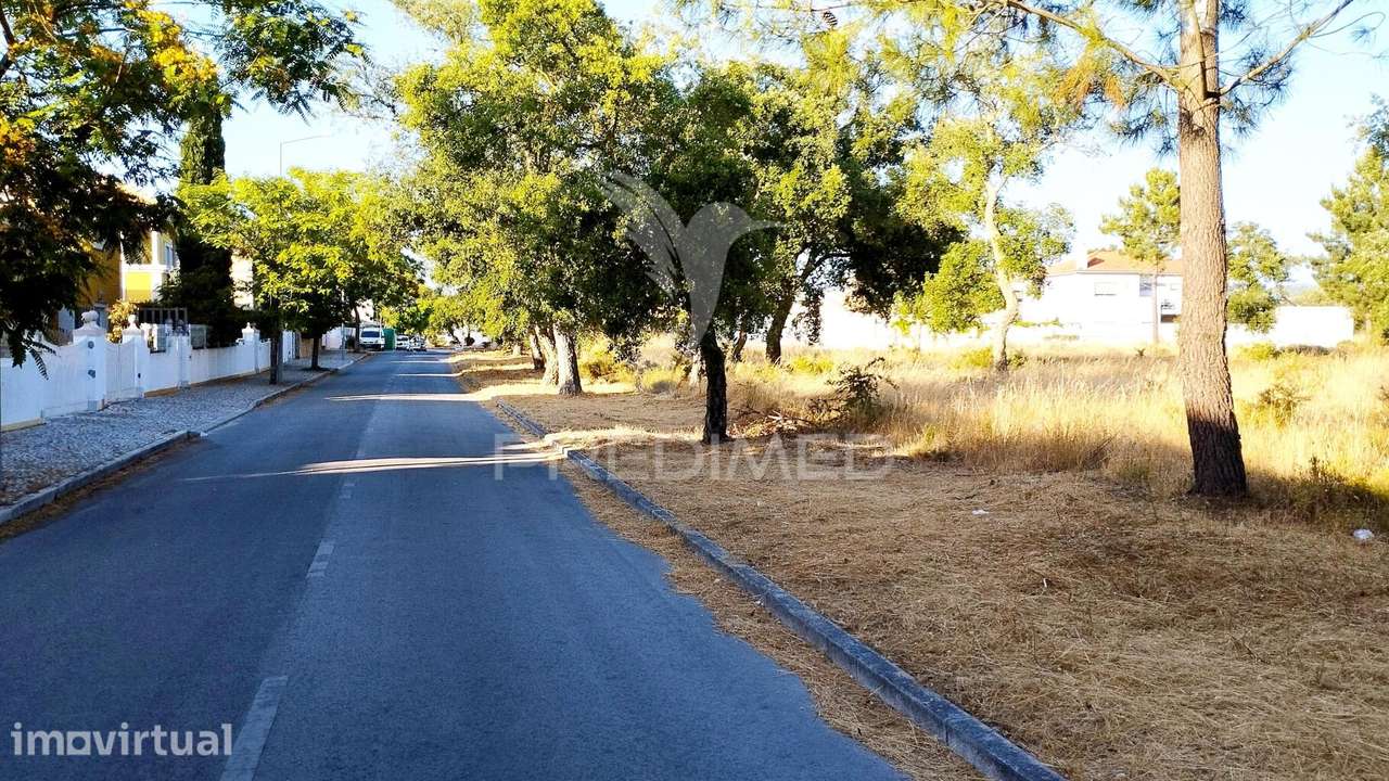 11 Lotes de Terrenos para futura Urbanização em Azeitão ou Quinta - Grande imagem: 4/7