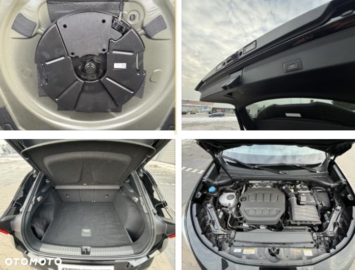 Cupra Terramar 2.0 TSI 4Drive DSG VZ - 28