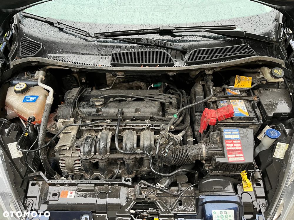Ford Fiesta 1.25 Celebration - 21