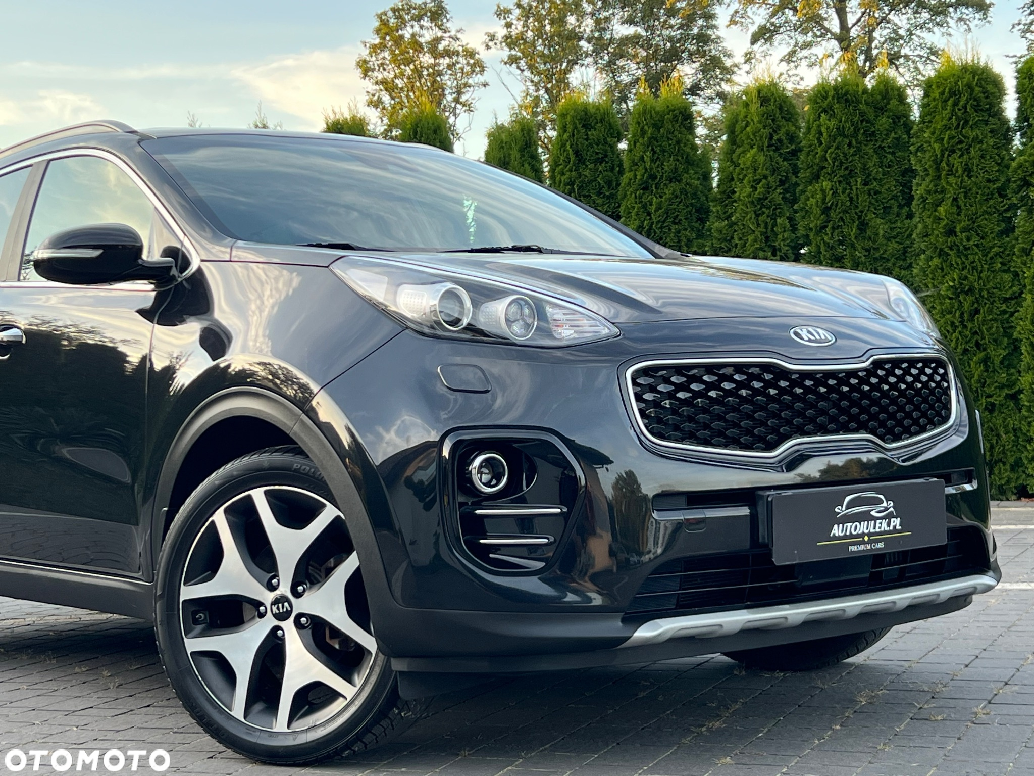 Kia Sportage 1.6 T-GDI L Business Line Plus 2WD - 20