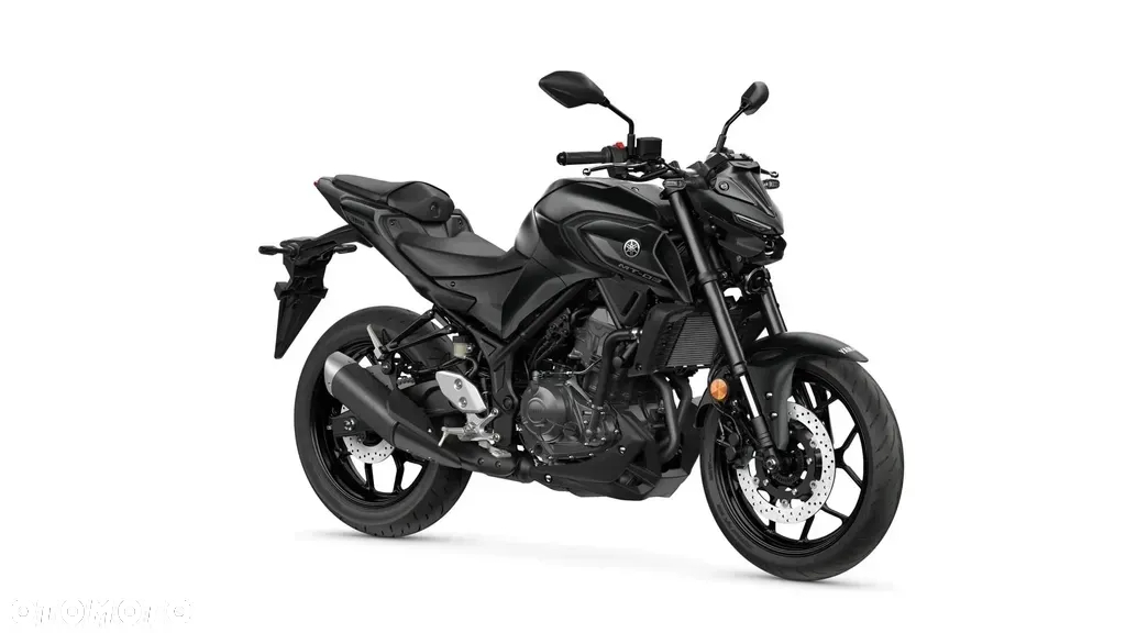 Yamaha MT - 6