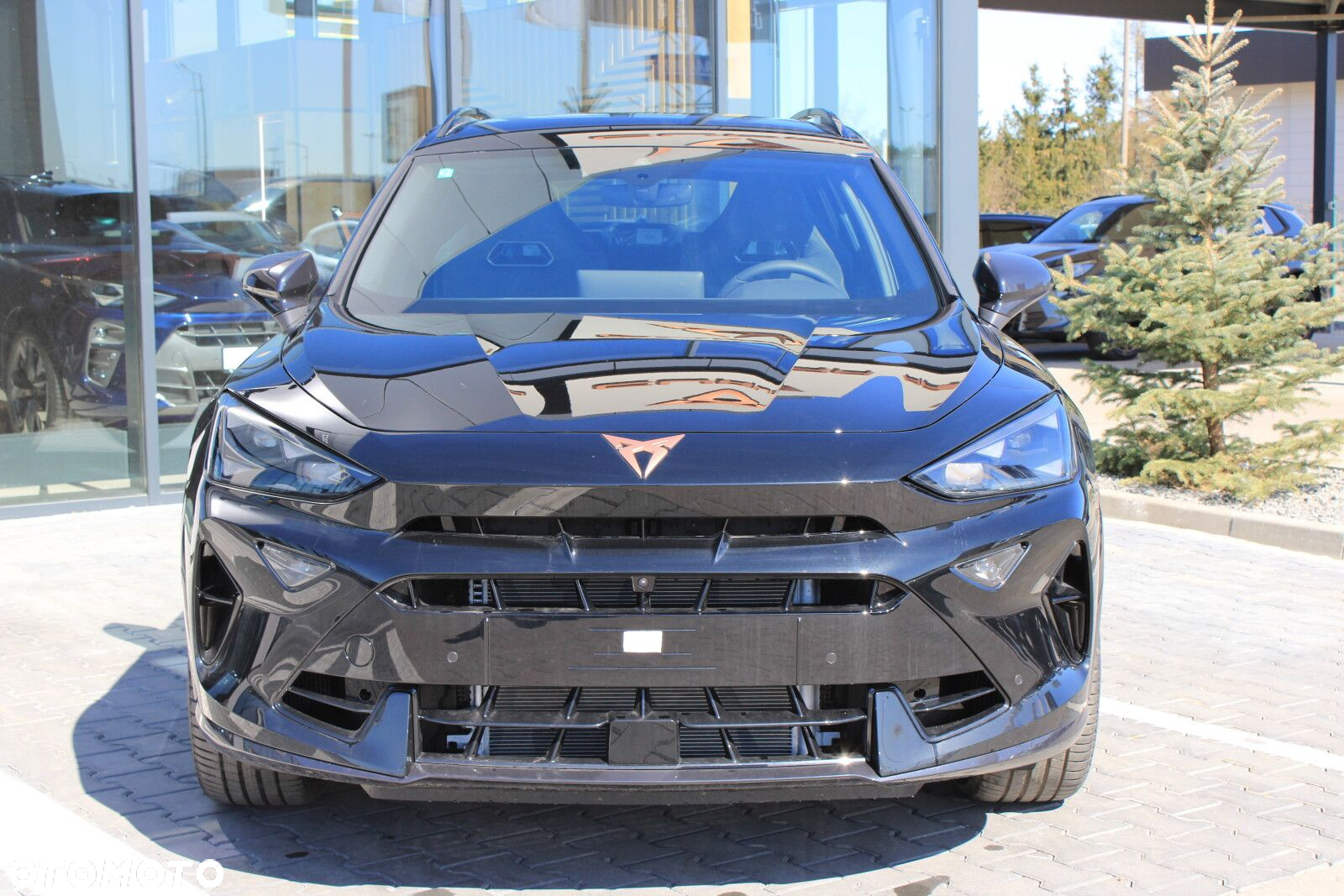 Cupra Formentor 1.5 eTSI mHEV DSG - 2
