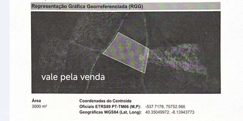 Terrenos  Santa Comba Dão - Grande imagem: 4/5