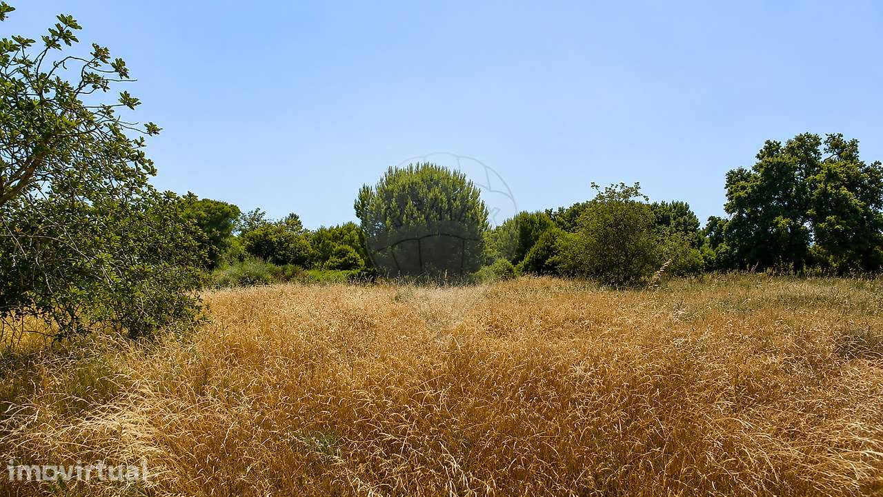 Terreno  para venda - Grande imagem: 2/5