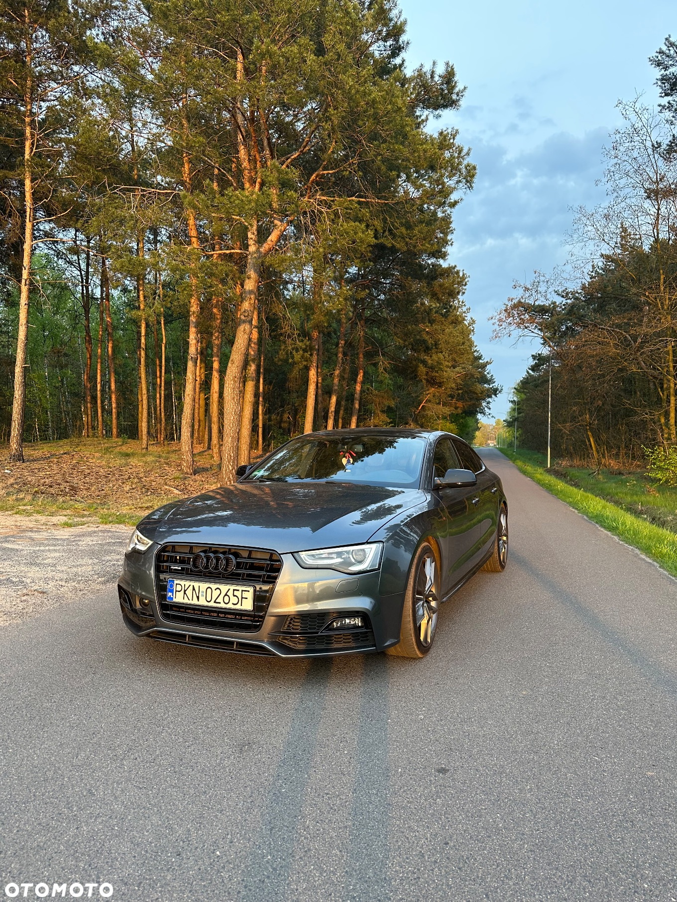 Audi A5 2.0 TDI Sportback (clean diesel) quat DPF S tro - 2