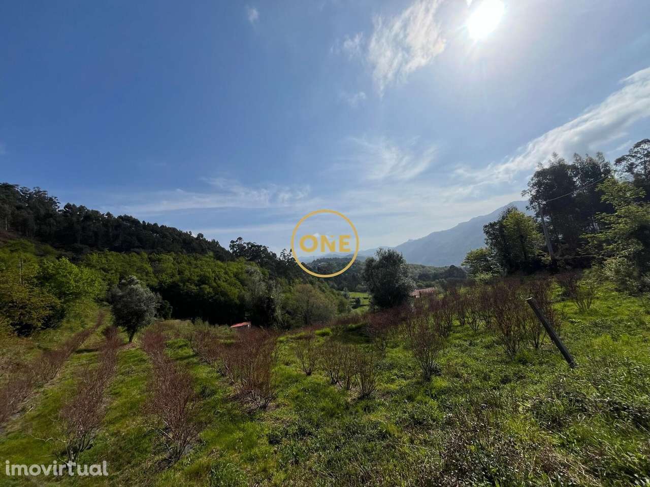 Terreno c/ Ruina - Grande imagem: 3/19