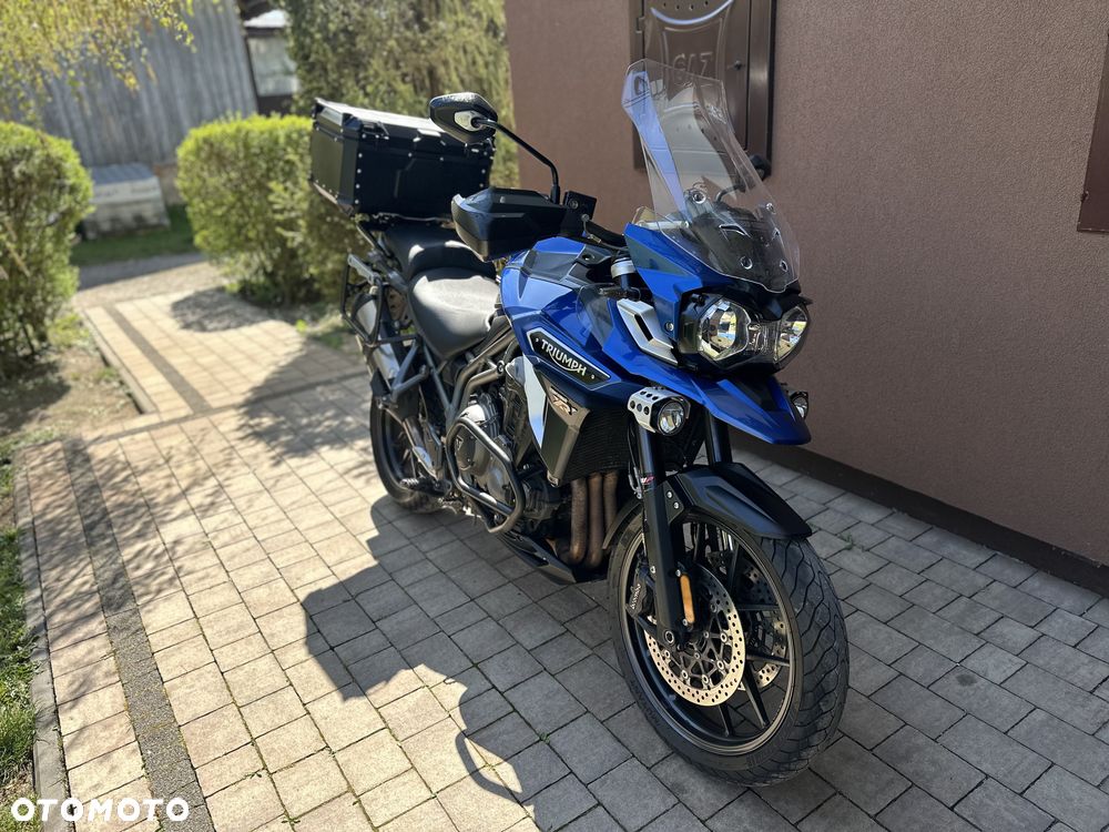 Triumph Tiger - 18