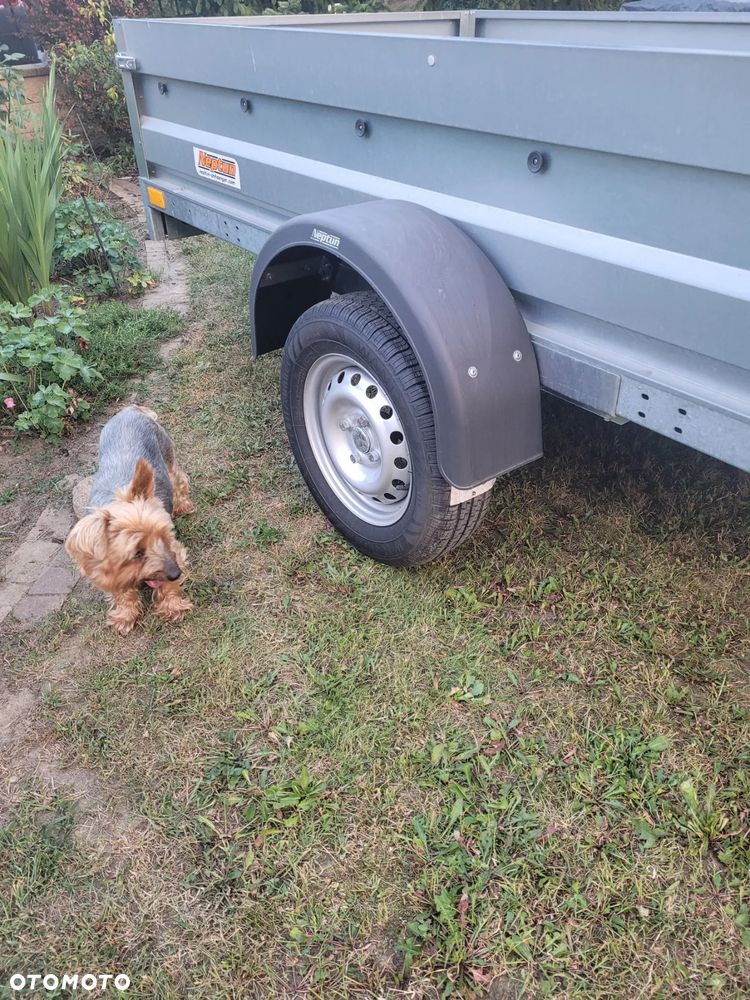 Neptun Przyczepa Neptun - 3