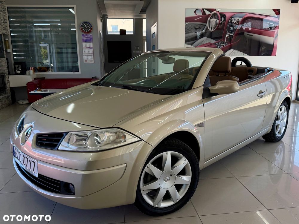 Renault Megane 2.0 Luxe Privilege - 30