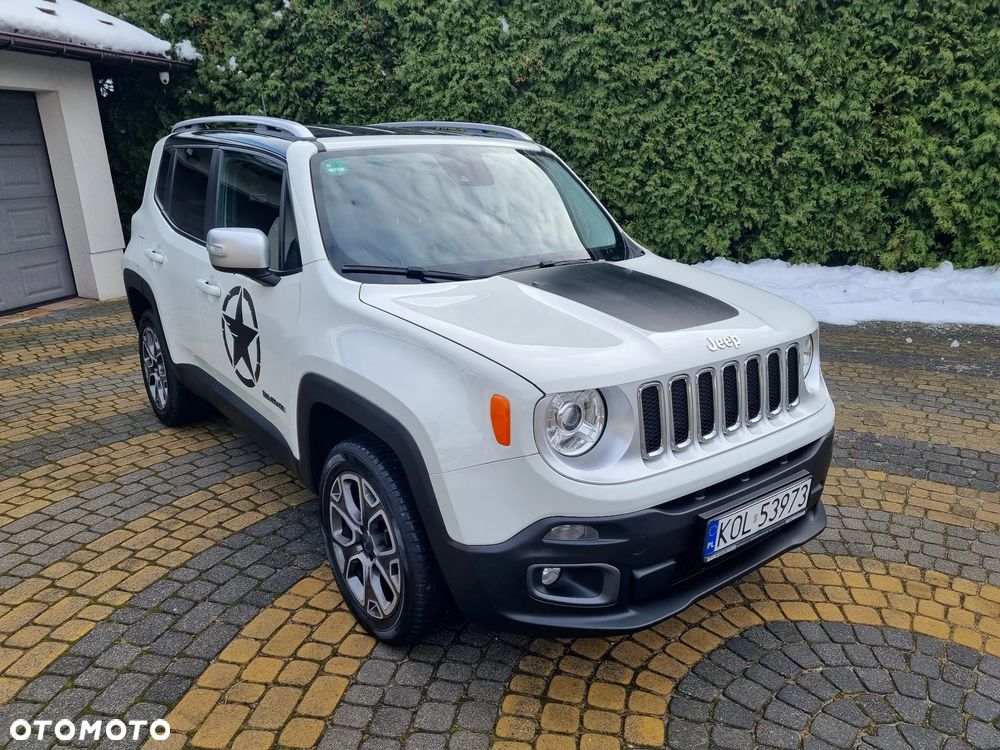 Jeep Renegade 2.0 MultiJet Active Drive Limited Adventure Edition - 24