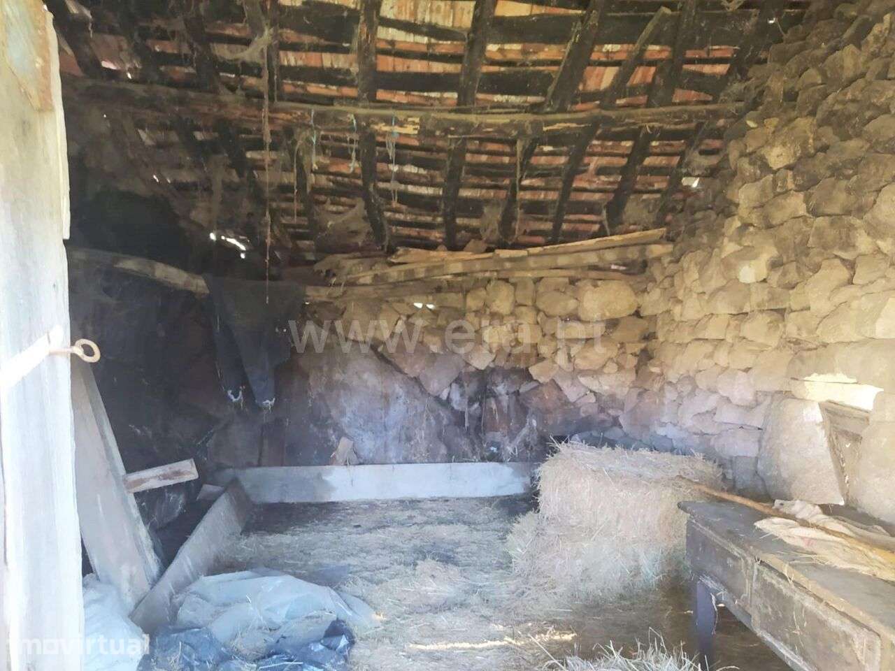 Terreno / Cinfães, Ferreiros de Tendais - Grande imagem: 5/13