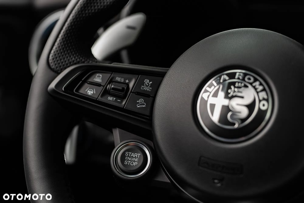 Alfa Romeo Stelvio 2.0 Turbo Veloce Q4 - 37
