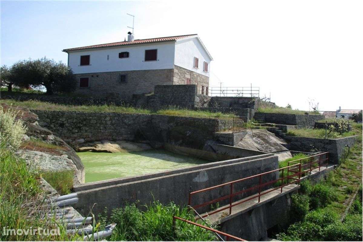 Quinta T4 para venda - Grande imagem: 3/50