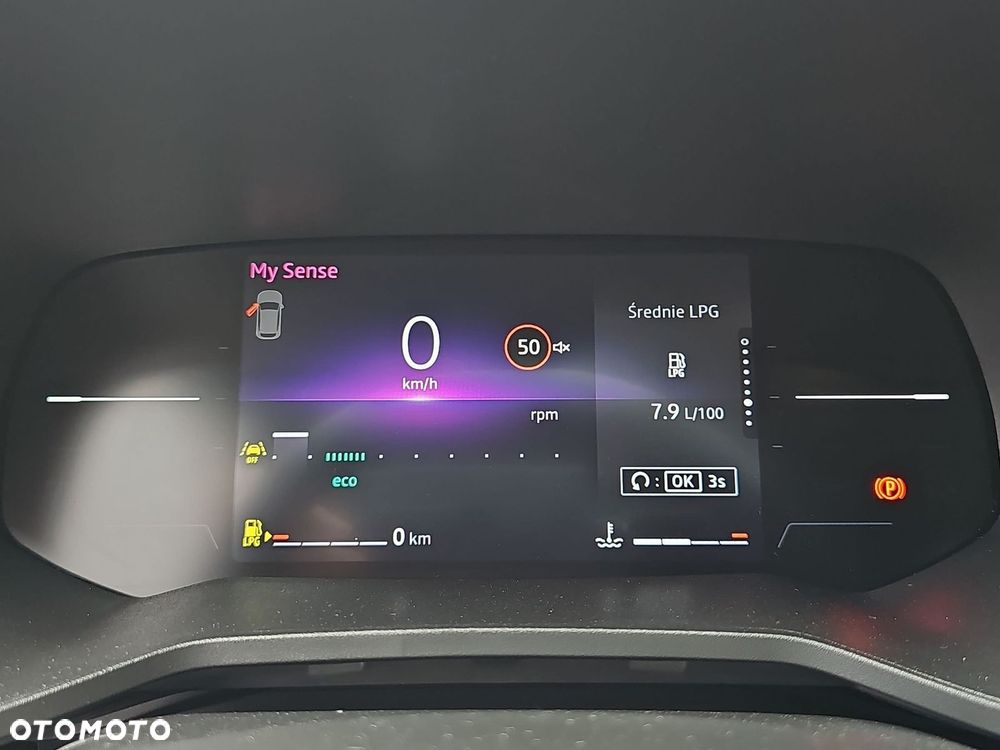 Renault Clio - 13