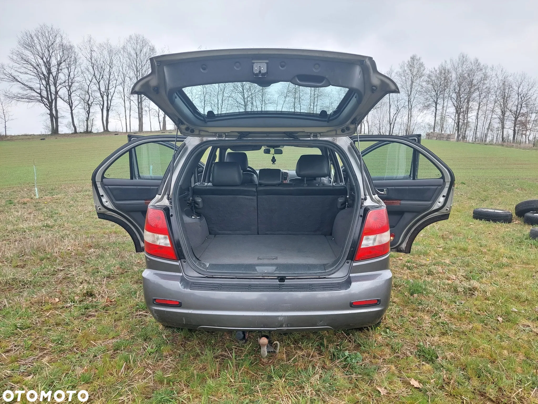 Kia Sorento - 19