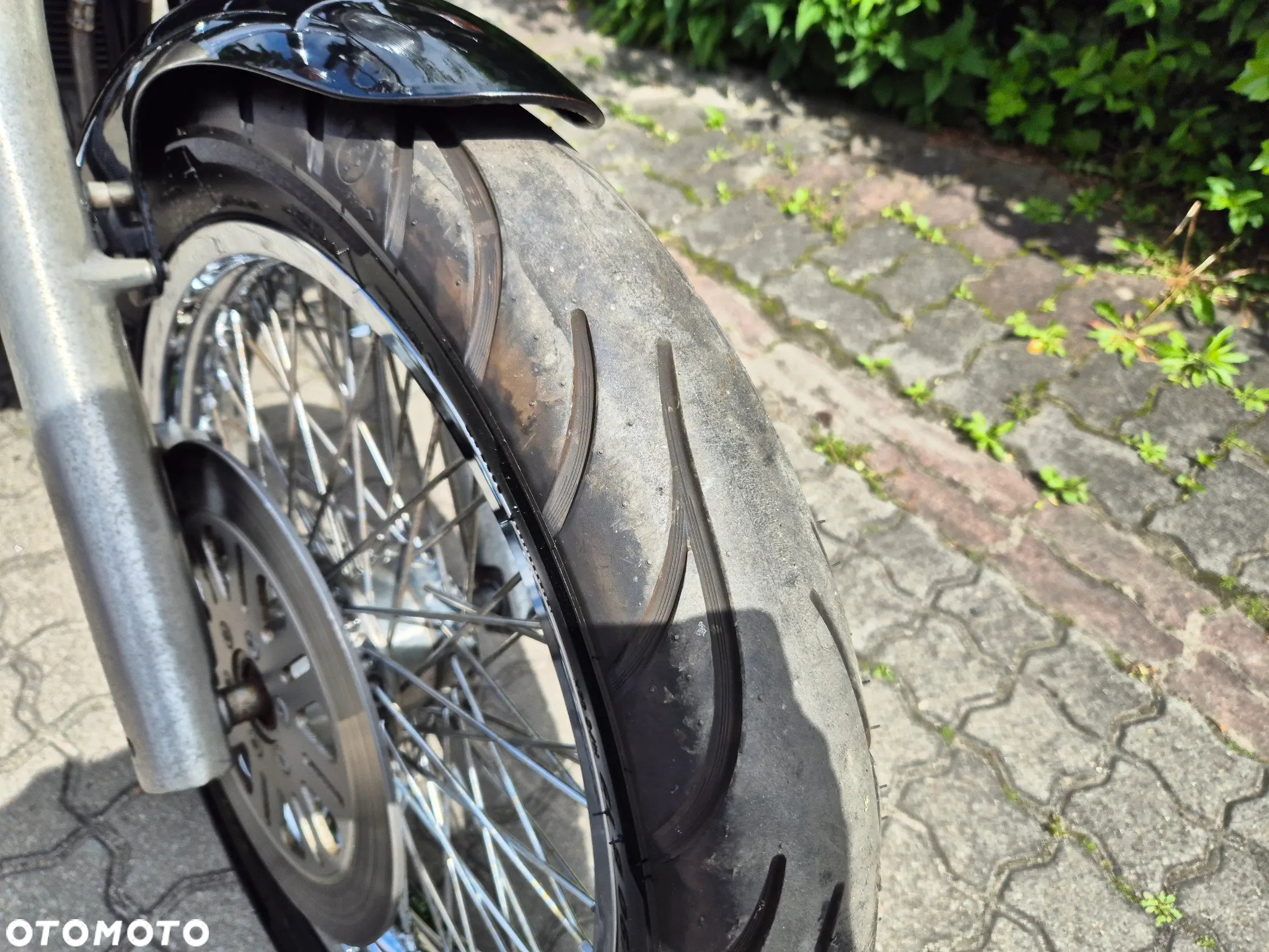 Suzuki Intruder - 5