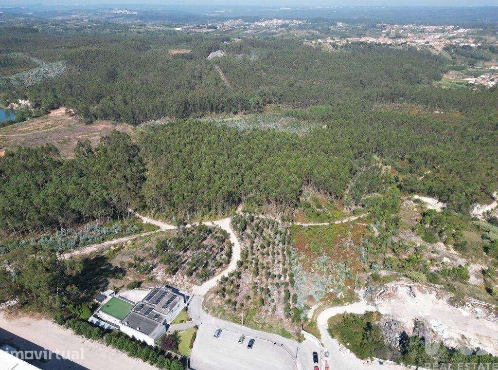 Terreno em Pedreiras - Grande imagem: 5/14