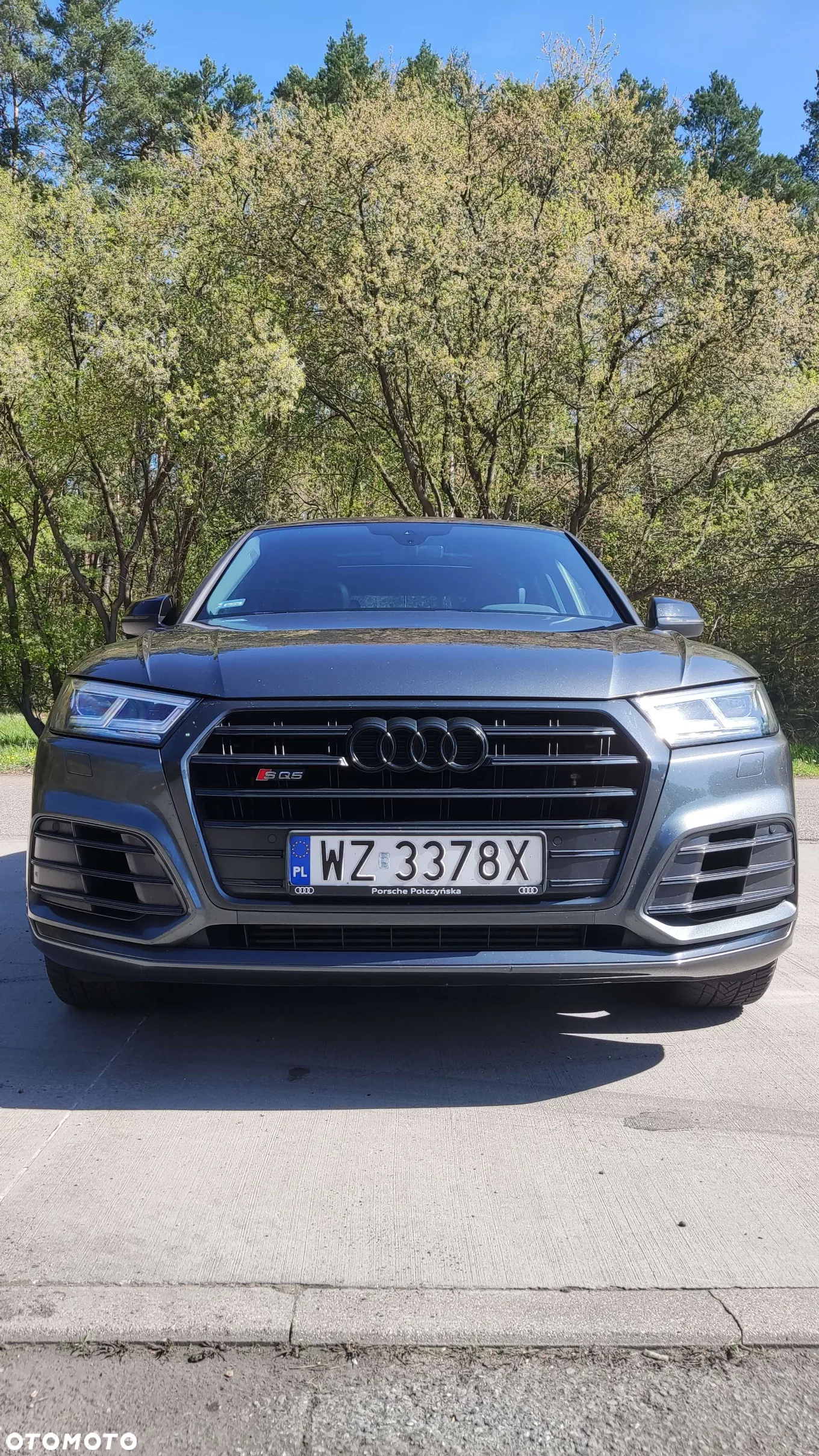 Audi SQ5 - 5