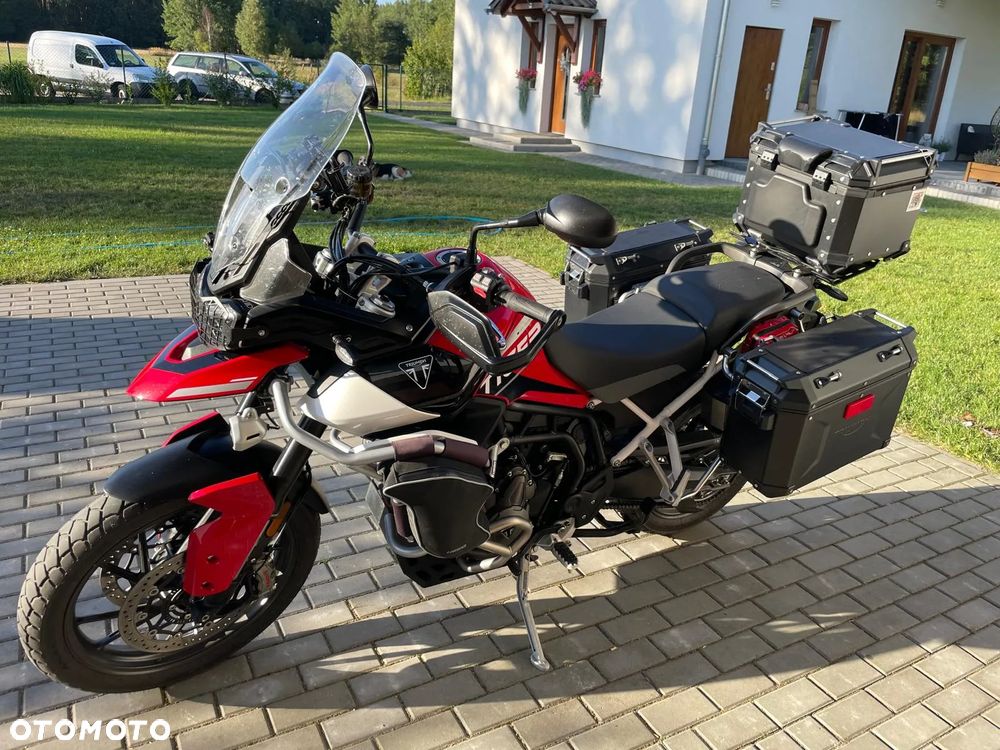 Triumph Tiger - 1