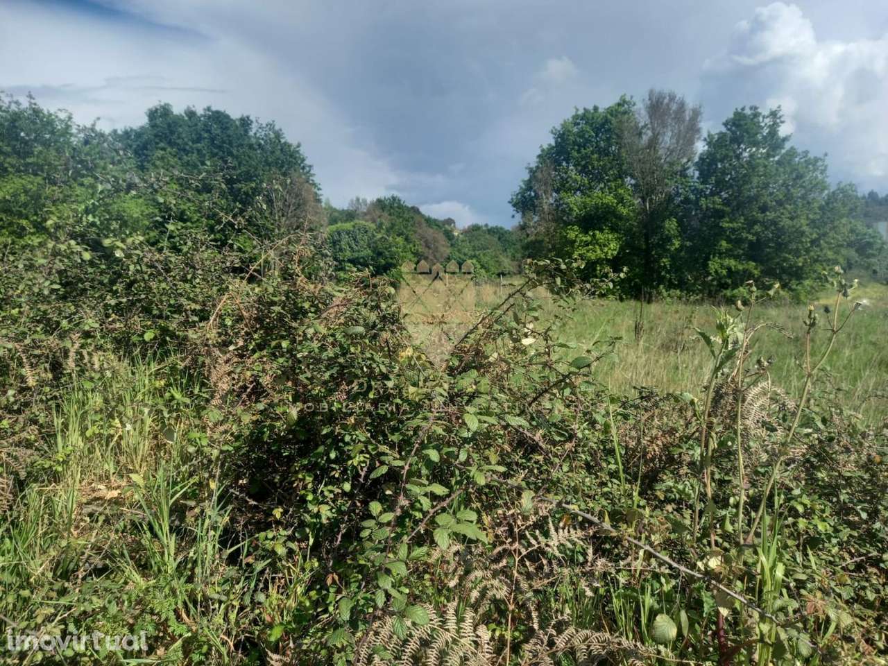 Terreno com 3.600 m² – Próximo ao Centro de Recarei - Grande imagem: 3/14