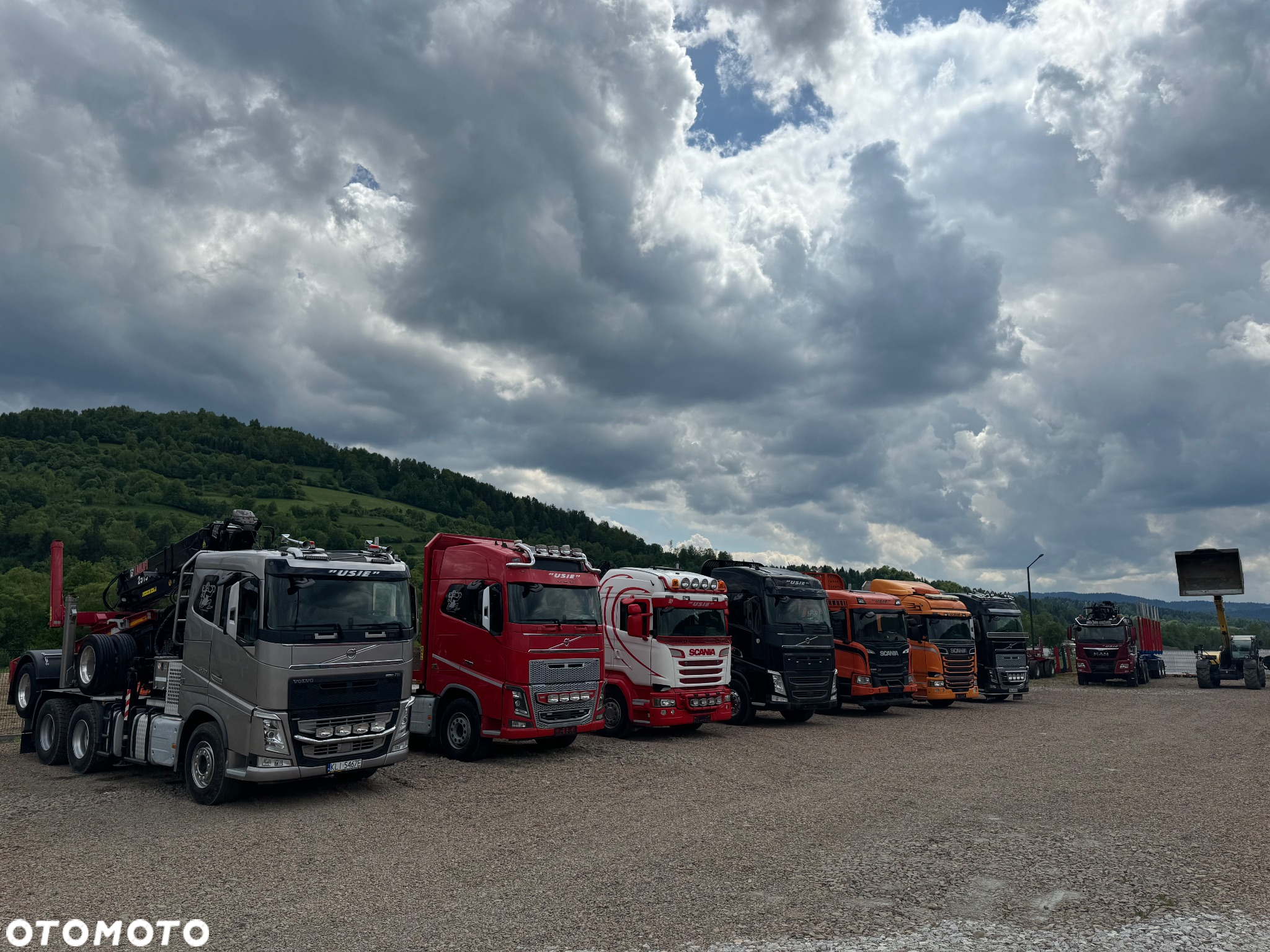 Scania V8*580PS*6x4*Do drewna*drzewa*dłużycy*Epsilon - 13