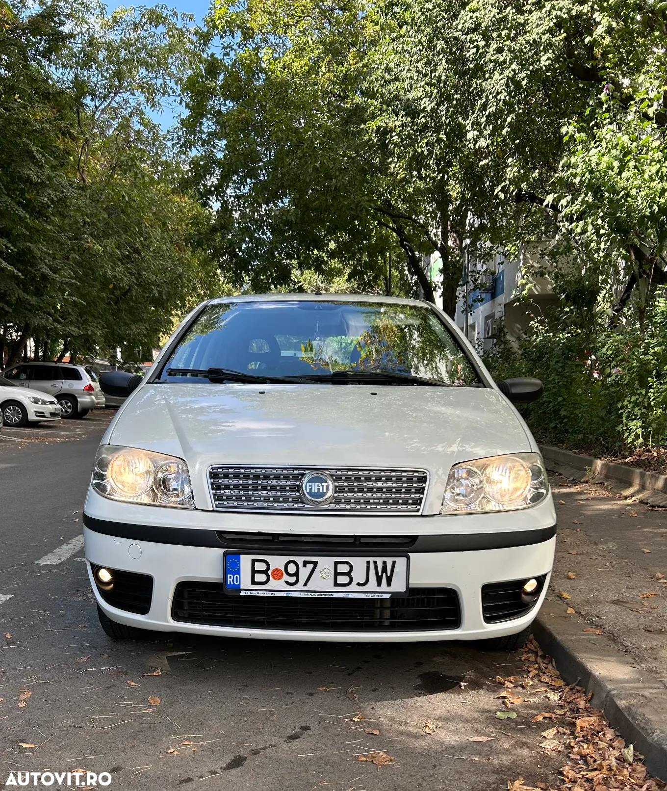 Fiat Punto 1.3 Multijet Classico - 5