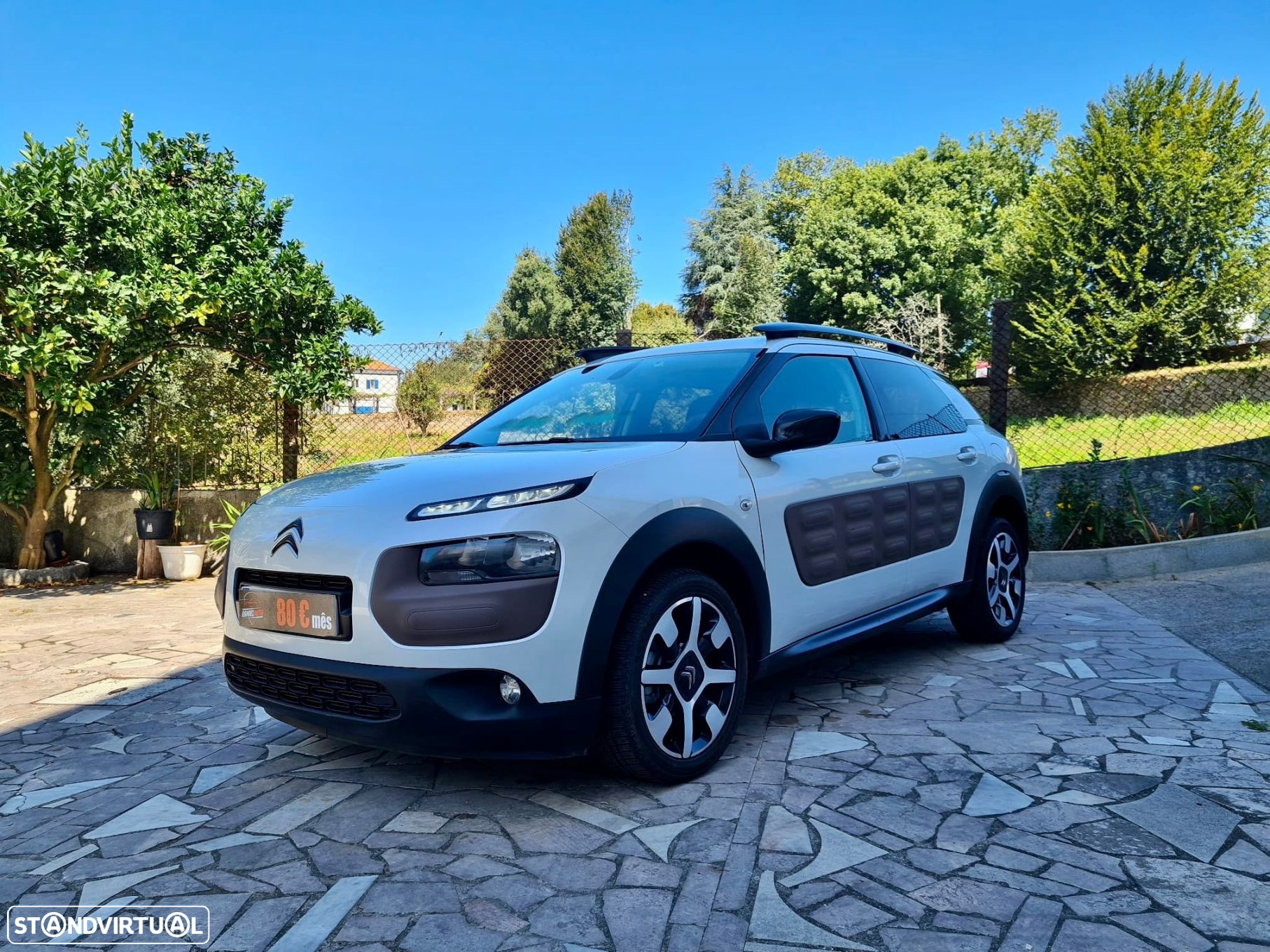 Citroën C4 Cactus 1.2 PureTech Shine Ed.Moonlight - 24