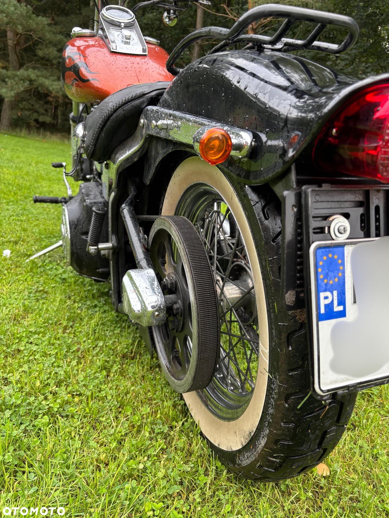 Harley-Davidson Softail Standard - 8